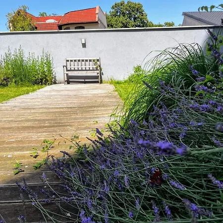 Paradise-ac&balcony Apartman